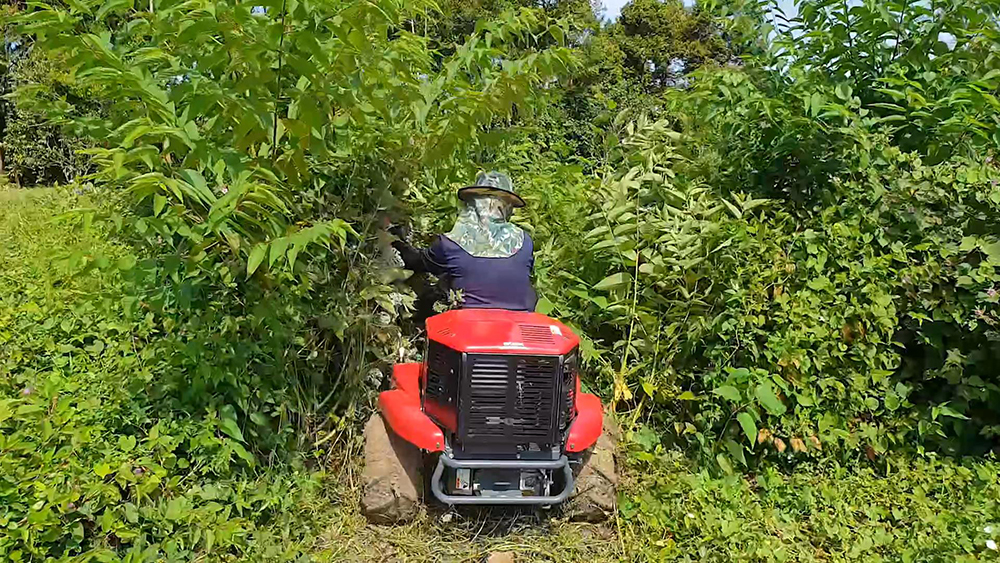Mower image