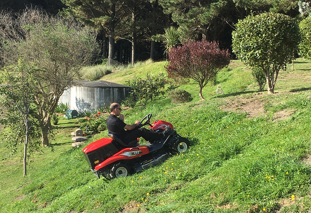 Mower image