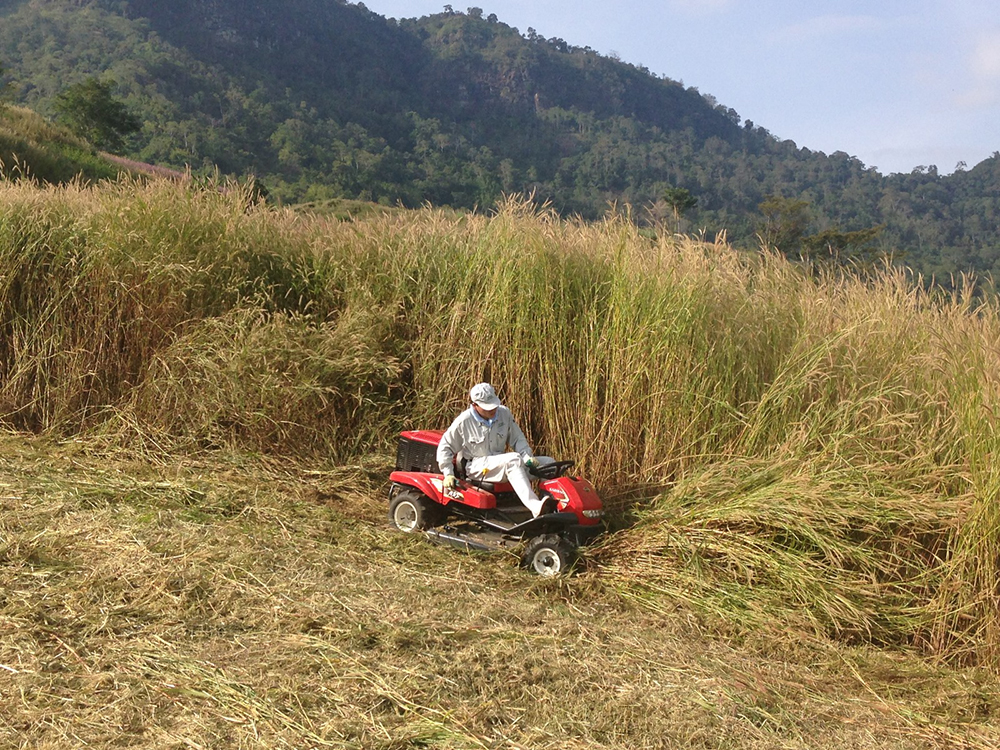 Mower image