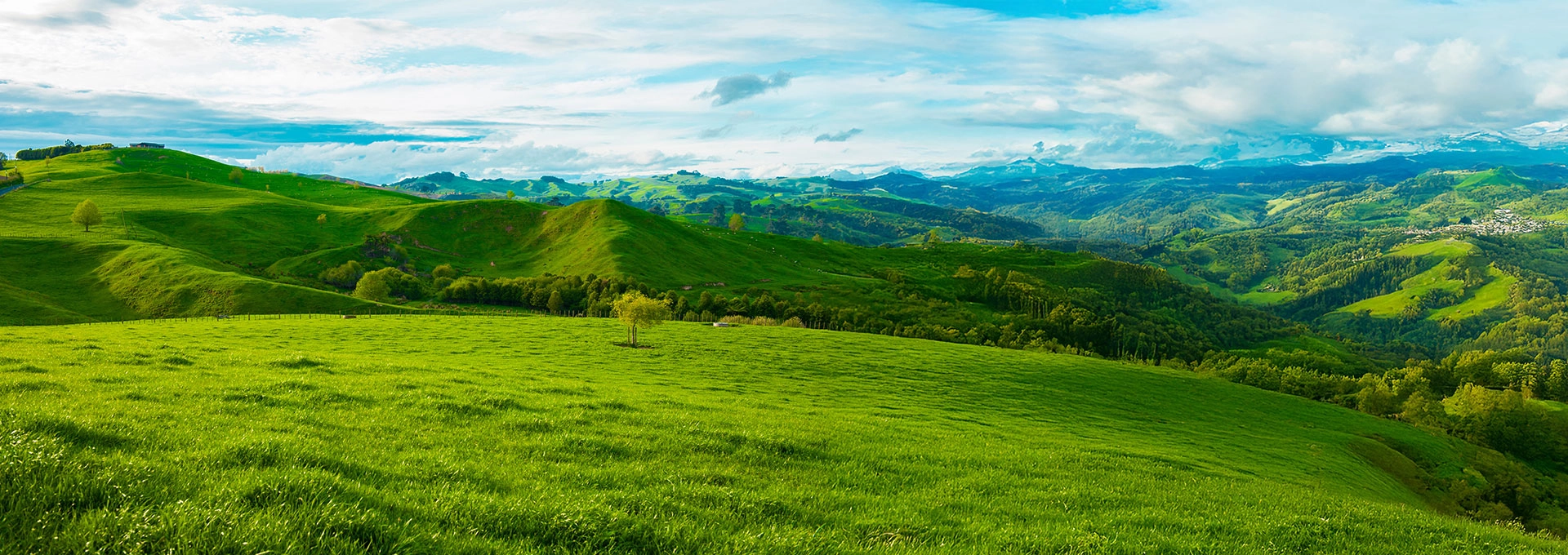photo of landscape
