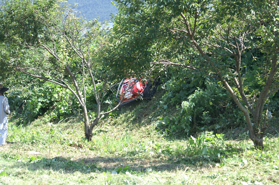 Mower image